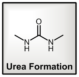 Urea Formation